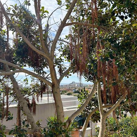 Chalet Independiente Roquetes Villa Peñíscola Dış mekan fotoğraf